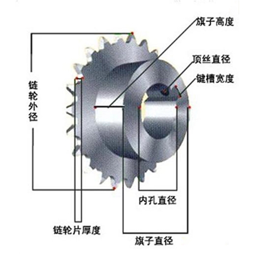 鏈輪構造圖